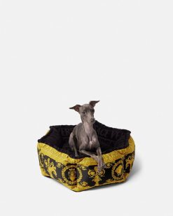 Accessoires Pour Animaux | Versace Petit Panier Pour Animal I Baroque