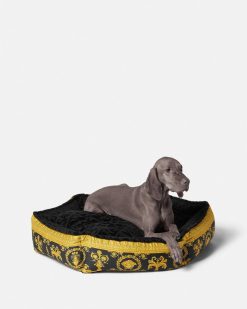 Accessoires Pour Animaux | Versace Grand Panier Pour Animal I Baroque