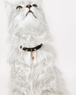 Accessoires Pour Animaux | Versace Collier Pour Animal Icon Avec Cristaux