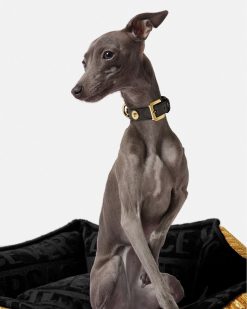 Accessoires Pour Animaux | Versace Petit Collier Pour Animal Icon