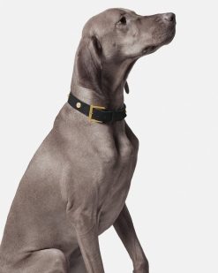 Accessoires Pour Animaux | Versace Grand Collier Pour Animal Icon