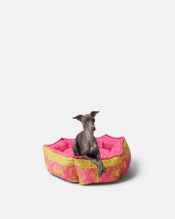 Accessoires Pour Animaux | Versace Panier Pour Animal I Baroque