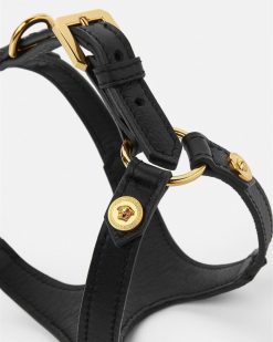 Accessoires Pour Animaux | Versace Harnais Pour Animal Icon