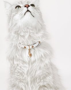 Accessoires Pour Animaux | Versace Collier Pour Animal Icon Avec Cristaux