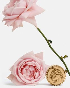 Parfums Et Soins Du Corps | Versace Eclat De Rose Edp 100 Ml